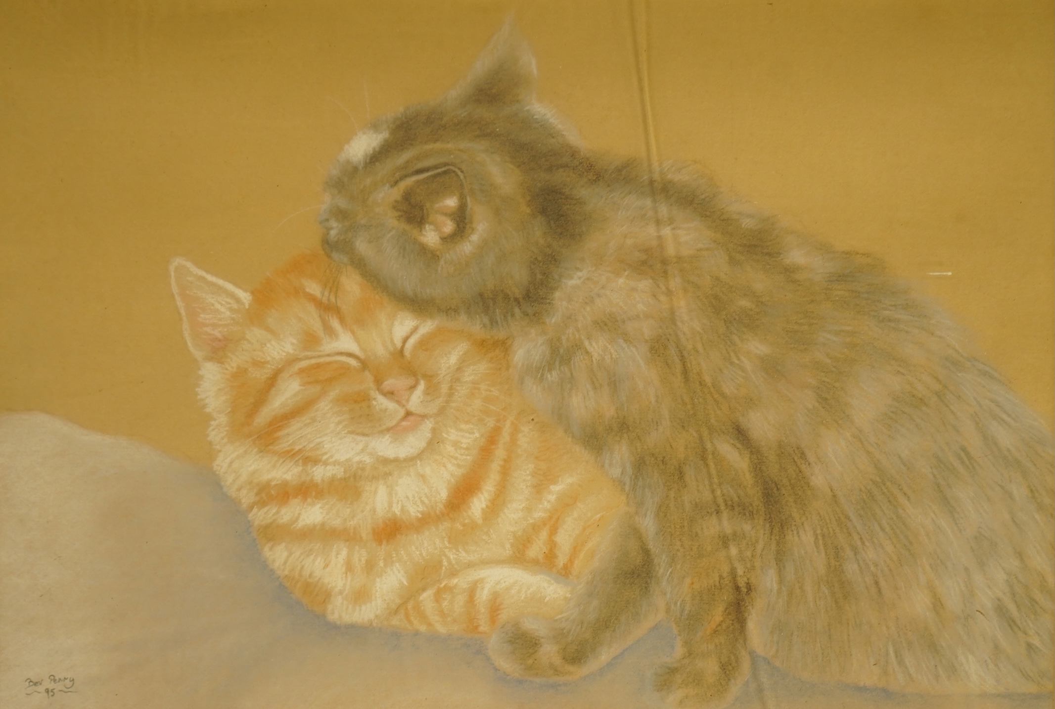 Bev Perry, Study of two cats, signed and dated '95, pastel heightened with white, 21 x 30cm